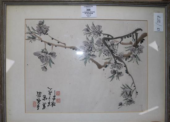 A Chinese picture of blossom